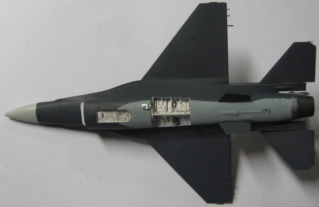 F16A Fighting Falcon mlu tigermeet 09 [revell] 1/72 1101100942221147377451347