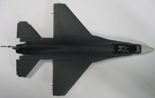 F16A Fighting Falcon mlu tigermeet 09 [revell] 1/72 1101100942251147377451350