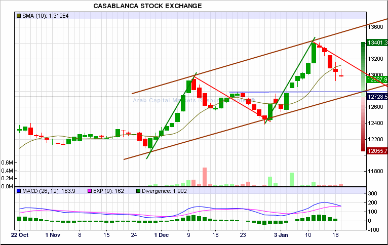 Séance du Mercredi 19 Janvier 2011 à la bourse de Casablanca ( suivi intraday - recommandations - scoops - analyses... )  - Page 10 110119062317855887496786