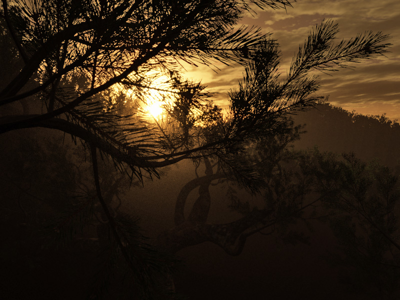 Ã©trange forÃªt...2