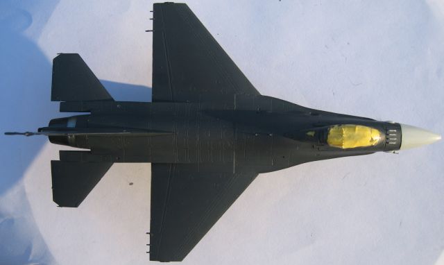 F16A Fighting Falcon mlu tigermeet 09 [revell] 1/72 1101290426401147377549778