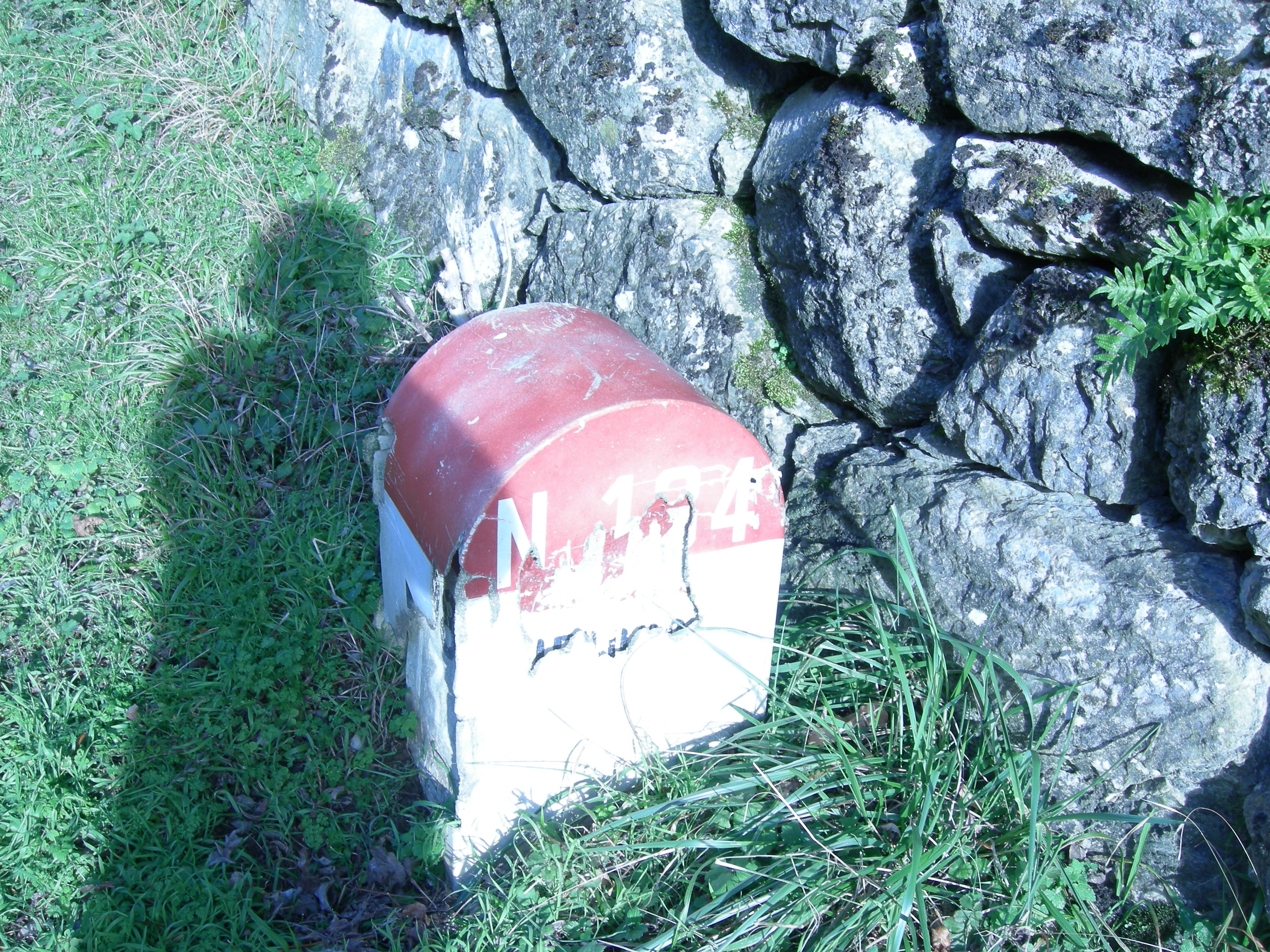 DSCN0770