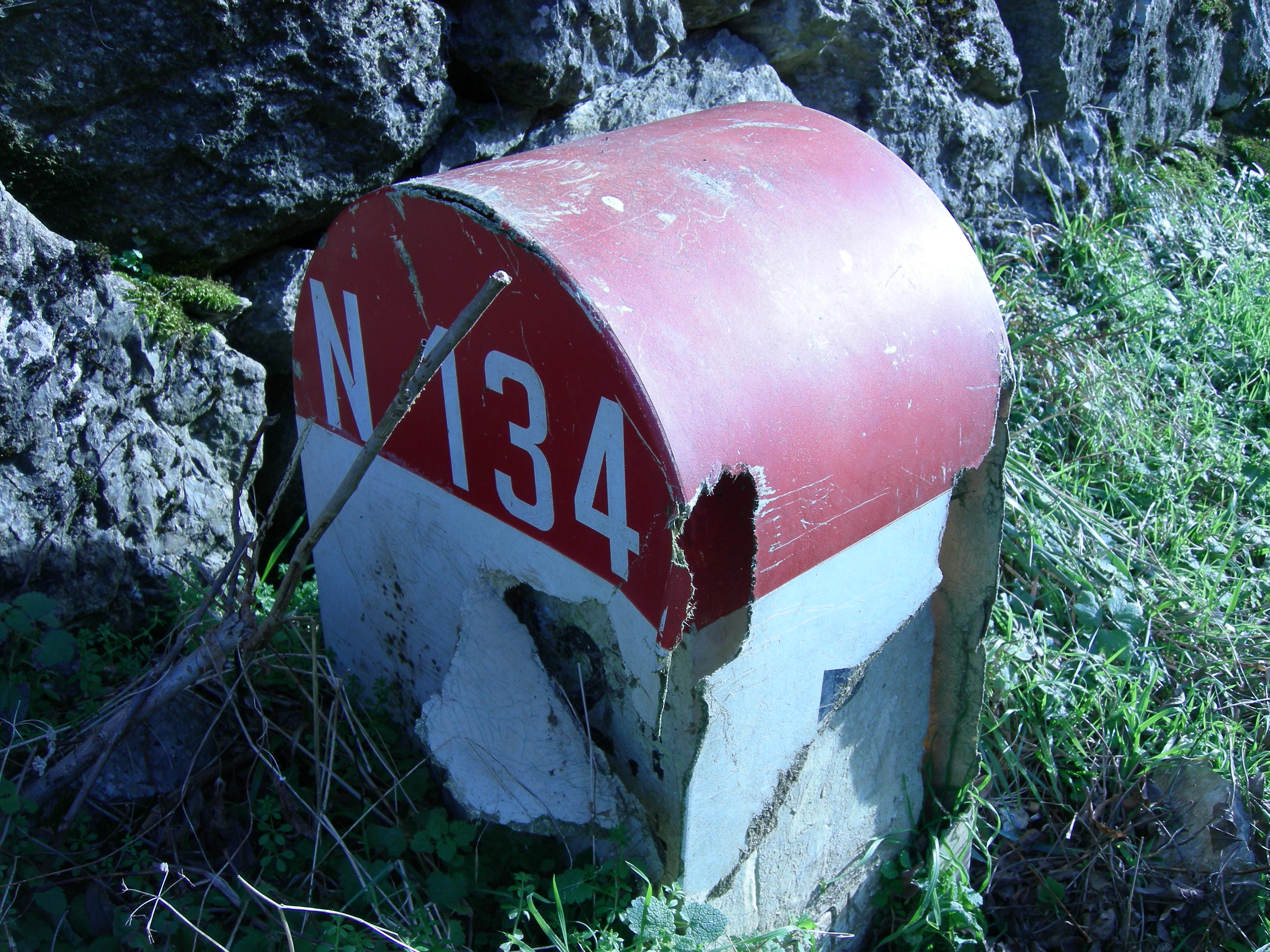 DSCN0772