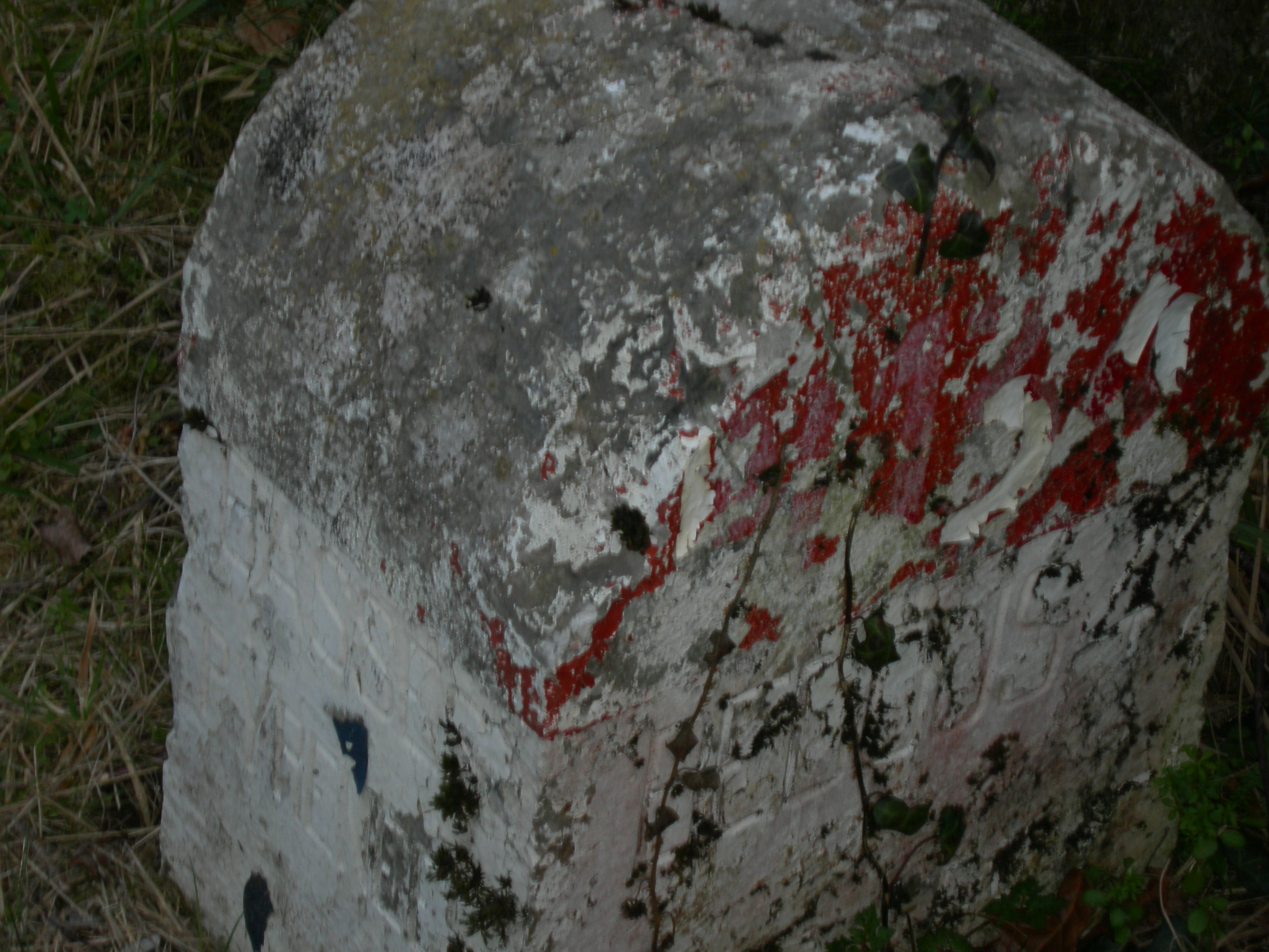 DSCN0946