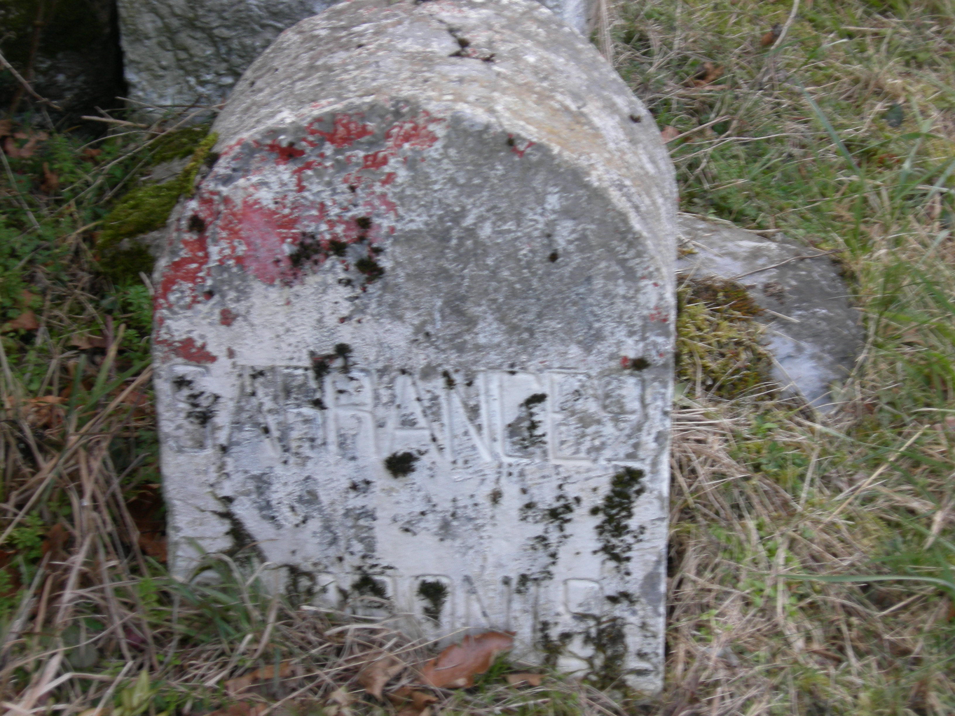 DSCN0948