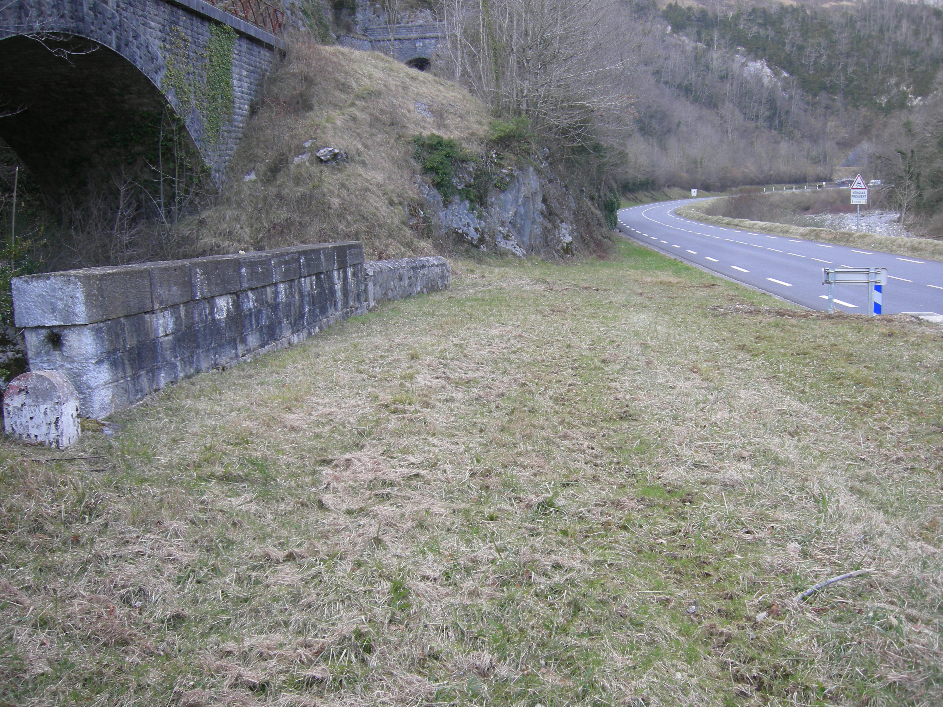DSCN0949