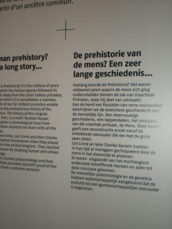 Het Nederlands in de musea, bezoekerscentra en toeristische diensten 110225055840970737712716