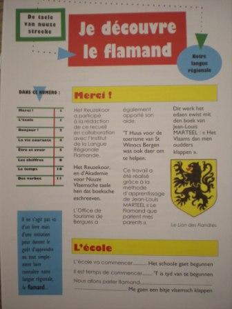 Vlaamse woordenboeken & grammatica's 110306050833970737767859