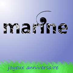 GIMP - anniversaire marine