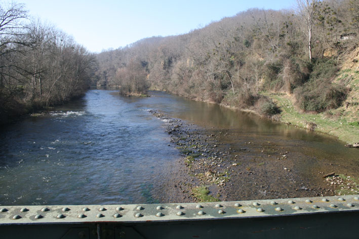 WCT&Acirc;&sup2; (81)