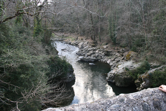 WCT&Acirc;&sup2; (172)