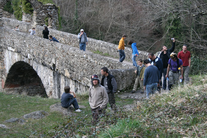 WCT&Acirc;&sup2; (174)