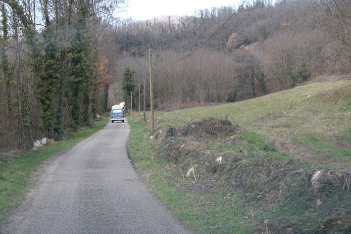 WCT&Acirc;&sup2; (181)