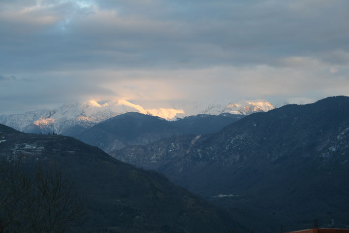 WCT&Acirc;&sup2; (201)