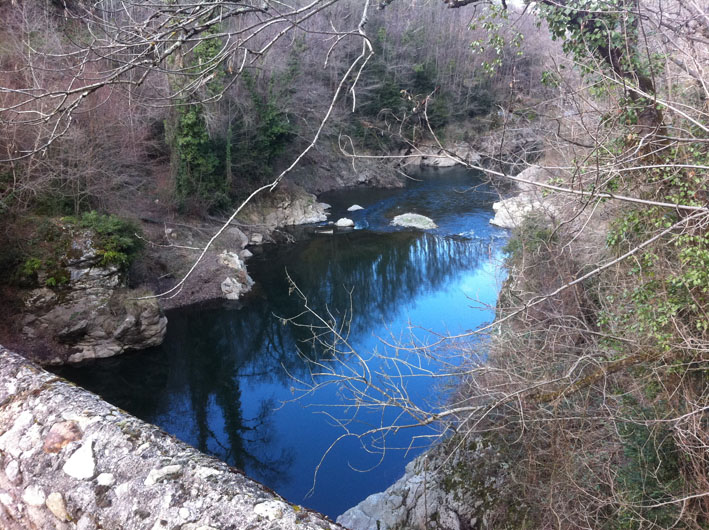 WCT&Acirc;&sup2; Ip (13)