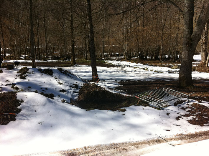 WCT&Acirc;&sup2; Ip (70)