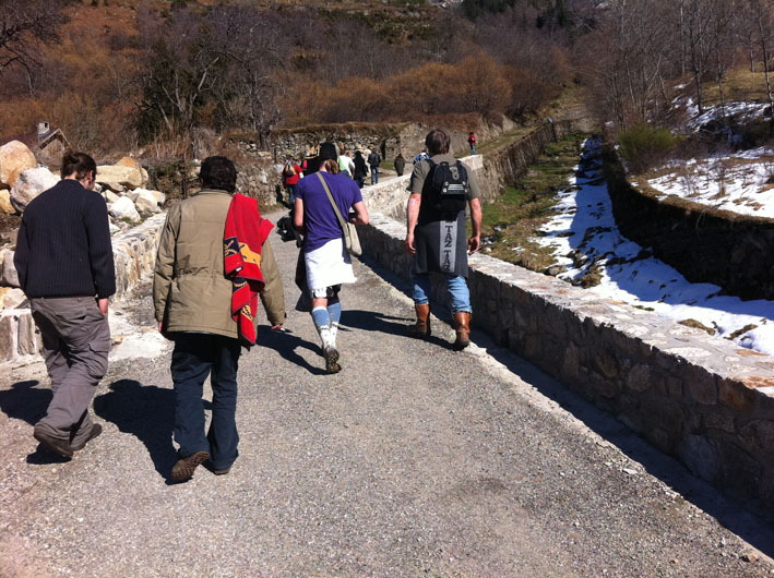 WCT&Acirc;&sup2; Ip (96)