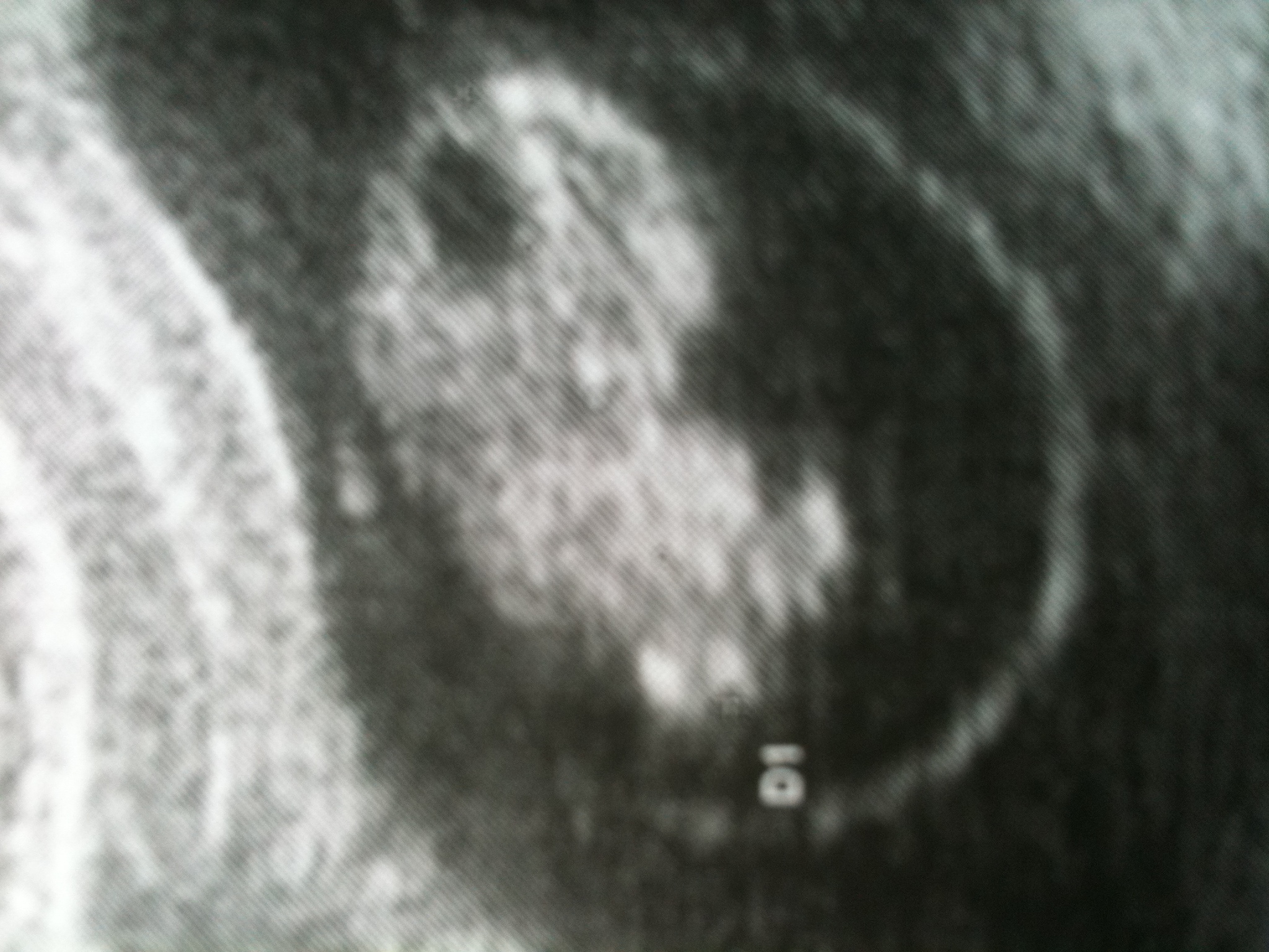 photo (5)