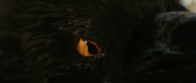 vlcsnap-2011-03-29-05h00m09s144