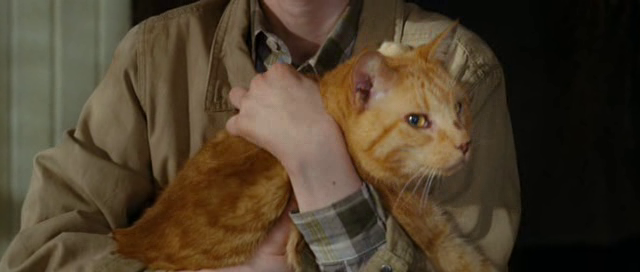 vlcsnap-2011-03-29-05h27m07s168