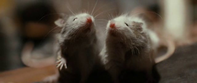 vlcsnap-2011-03-29-03h43m24s171