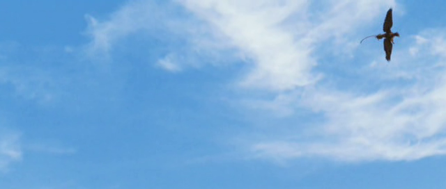 vlcsnap-2011-03-29-06h41m35s48