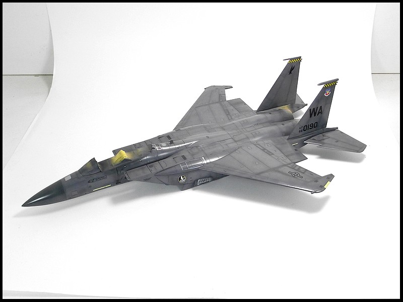 [Revell] 1/48 - McDonnell-Douglas F-15E Strike Eagle - Page 2 110403022334492647930485