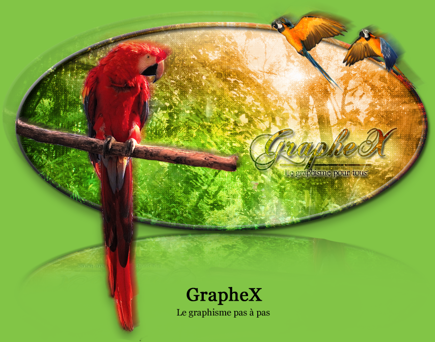 GrapheX - école de graphisme pour tous niveaux, tous logiciels 110414092732245817993572