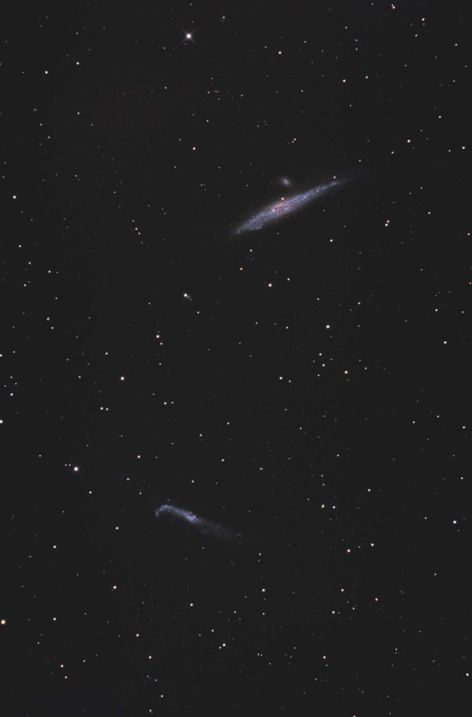 baleine T200 iruv 248x55sec ps1 75