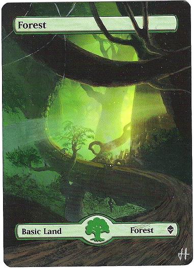 forest