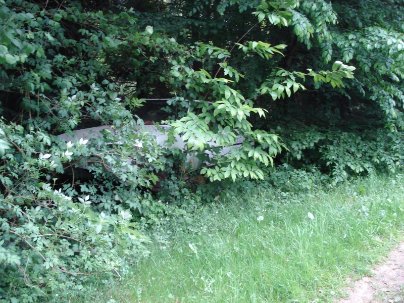 DSC05445