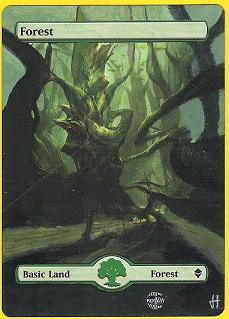 forest