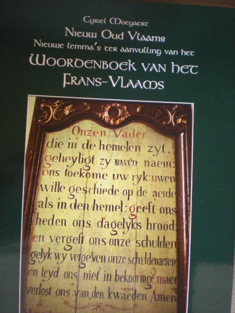 Vlaamse woordenboeken & grammatica's 110604120010970738263621