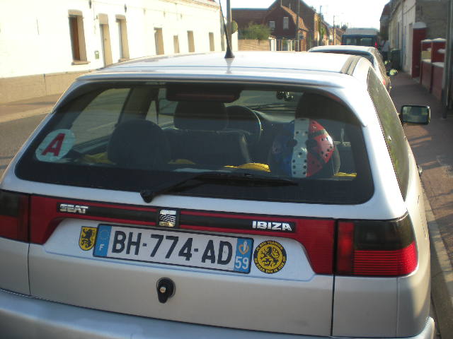 Sticker Vlaanderen  Flandre op uw auto - Pagina 4 110605075938970738273810