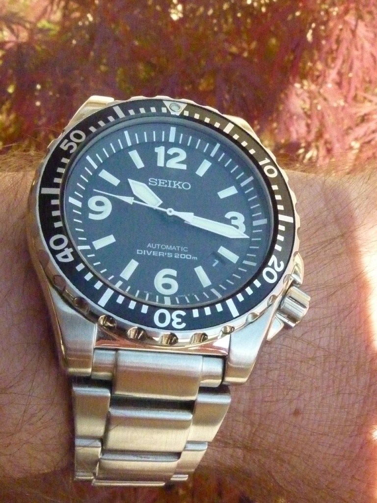 Seiko SRP043 - Page 2 110701103753990898408126