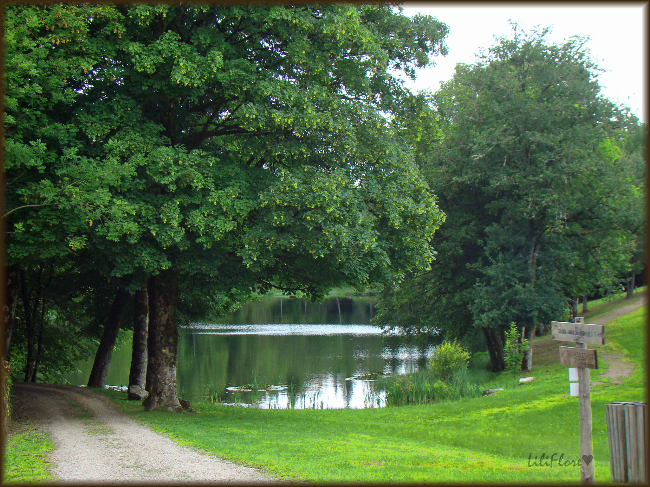 hebergeur image
