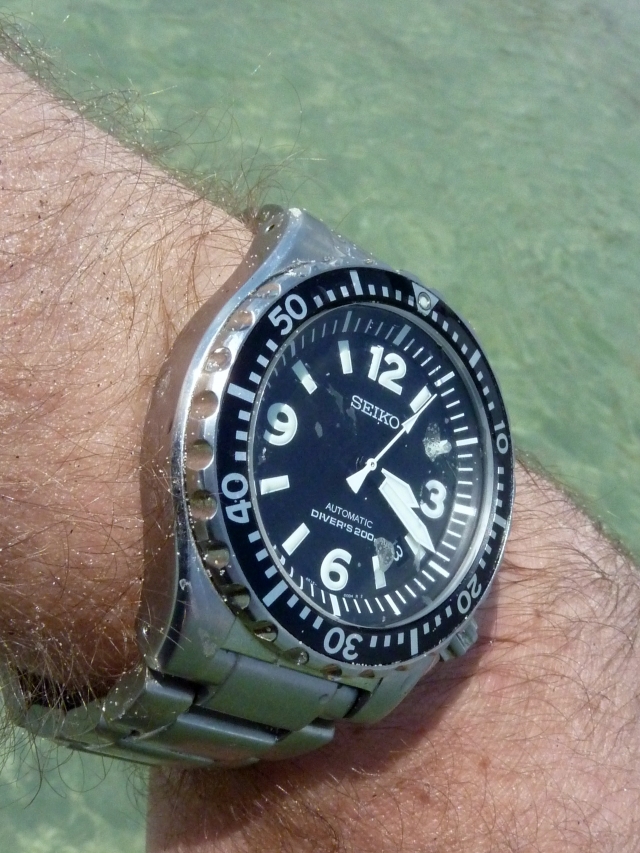 ****** La Seiko du jour - vol.1 ***** - Page 31 110713054900990898465359