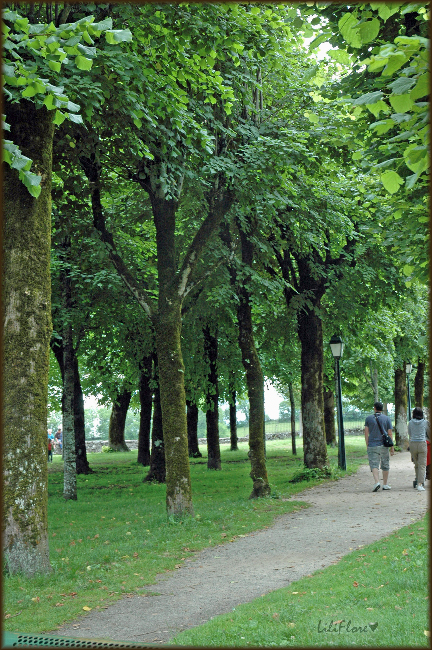 hebergeur image