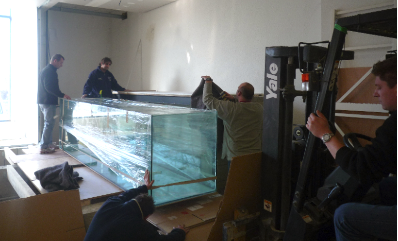 Support pour aquarium, le quel faire...? 1107300117551071758525607