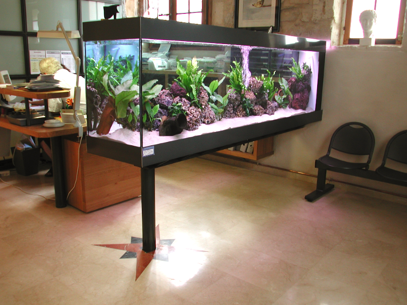 Support pour aquarium, le quel faire...? 1107311230501071758529200