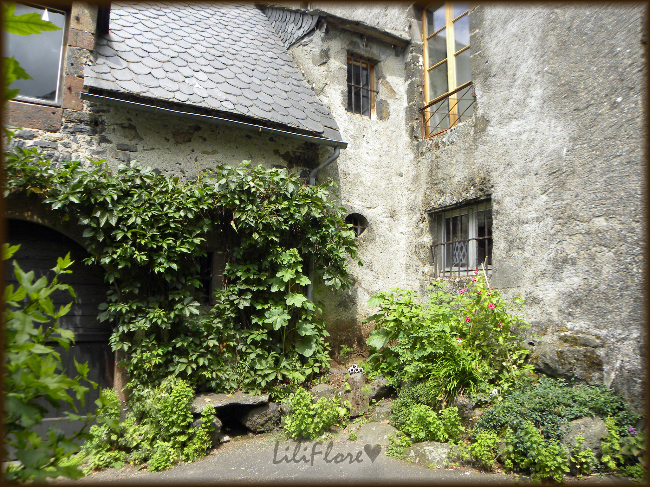hebergeur image