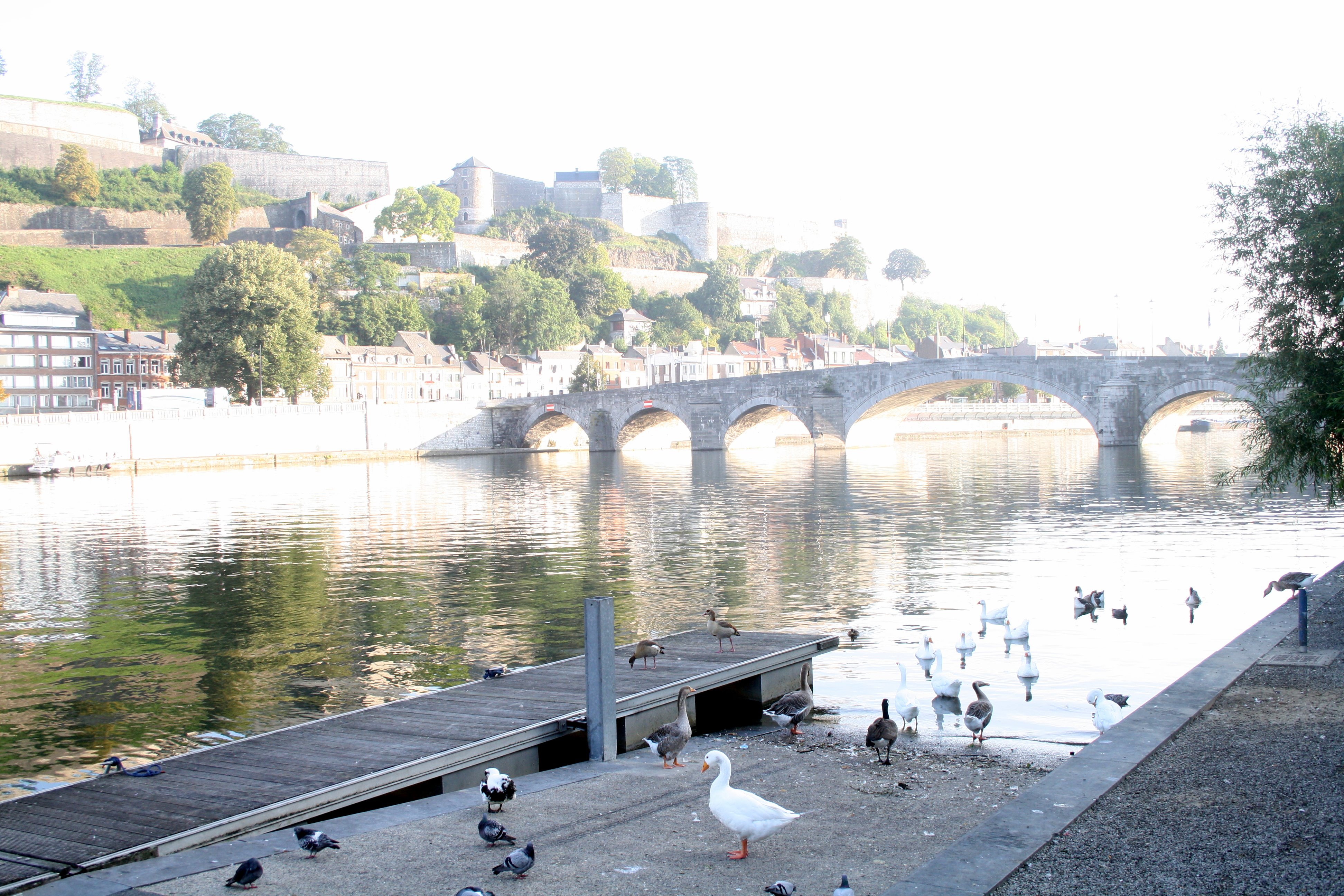 Deux membres du forum à bord du SAMBRE pour 3 jours - Page 9 1108071054151095838556232