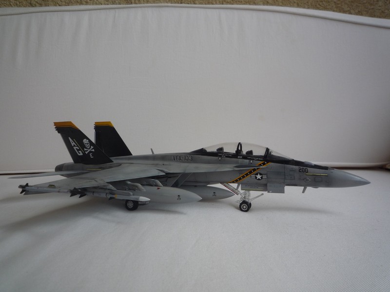 F-18F VFA103 - enfin fini ! 110814111123787858585389