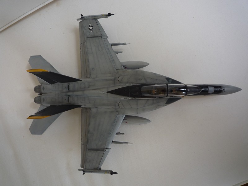 F-18F VFA103 - enfin fini ! 110814111124787858585392