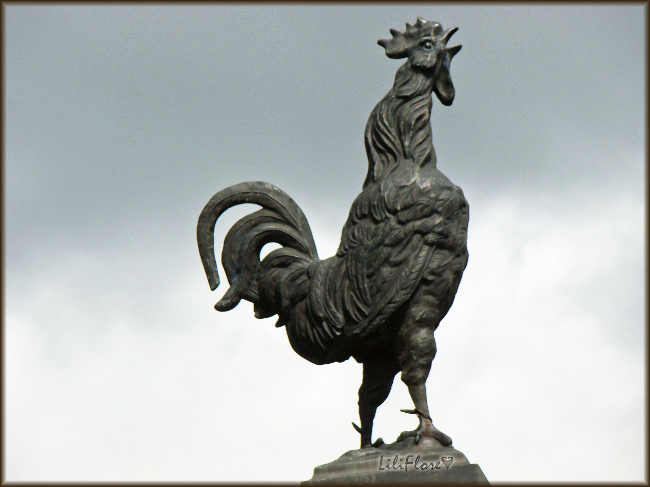 hebergeur image