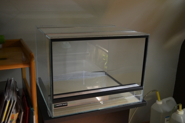 Petit  aquaterrarium 110826081036943638646097