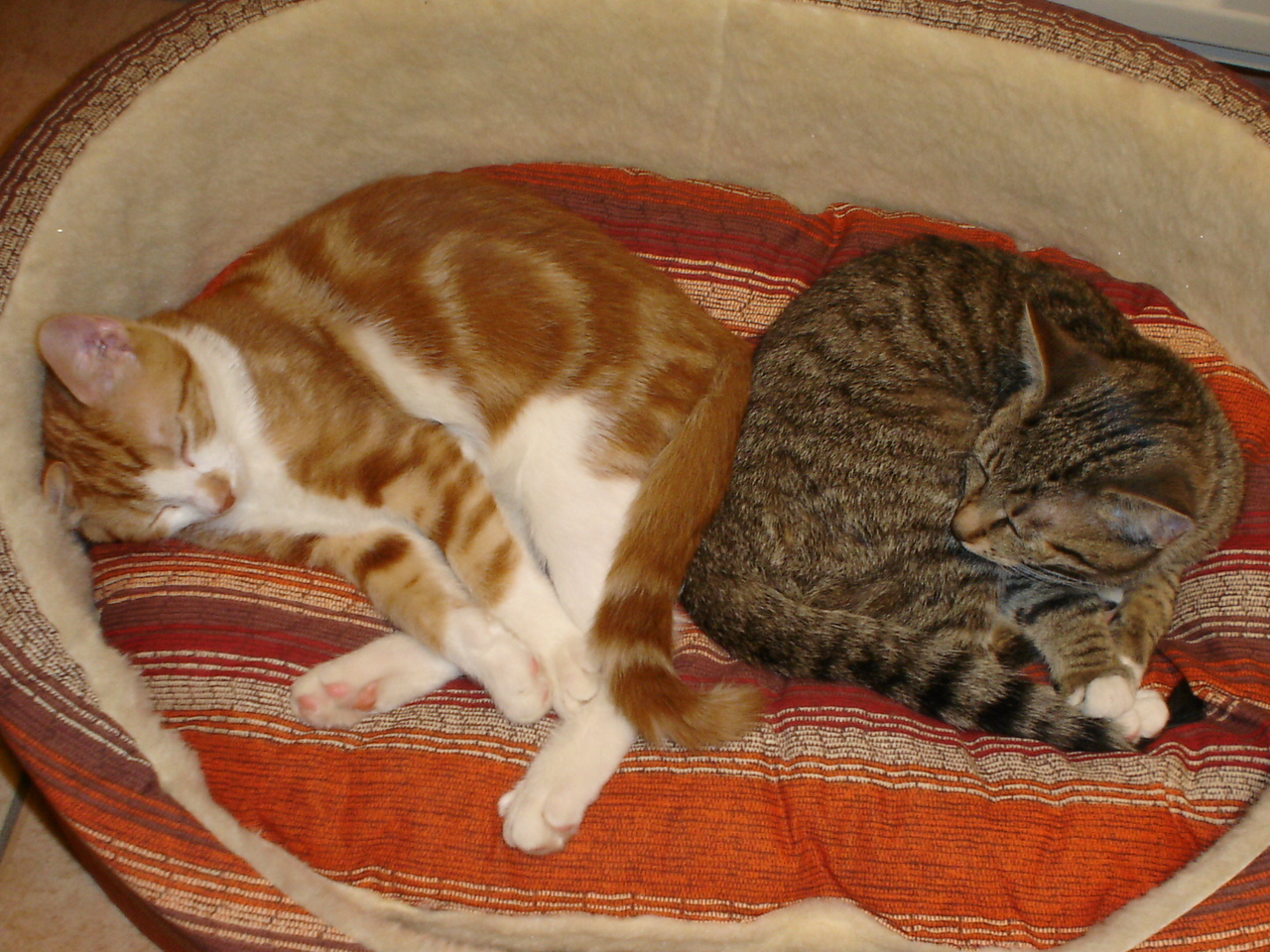 DSC02657
