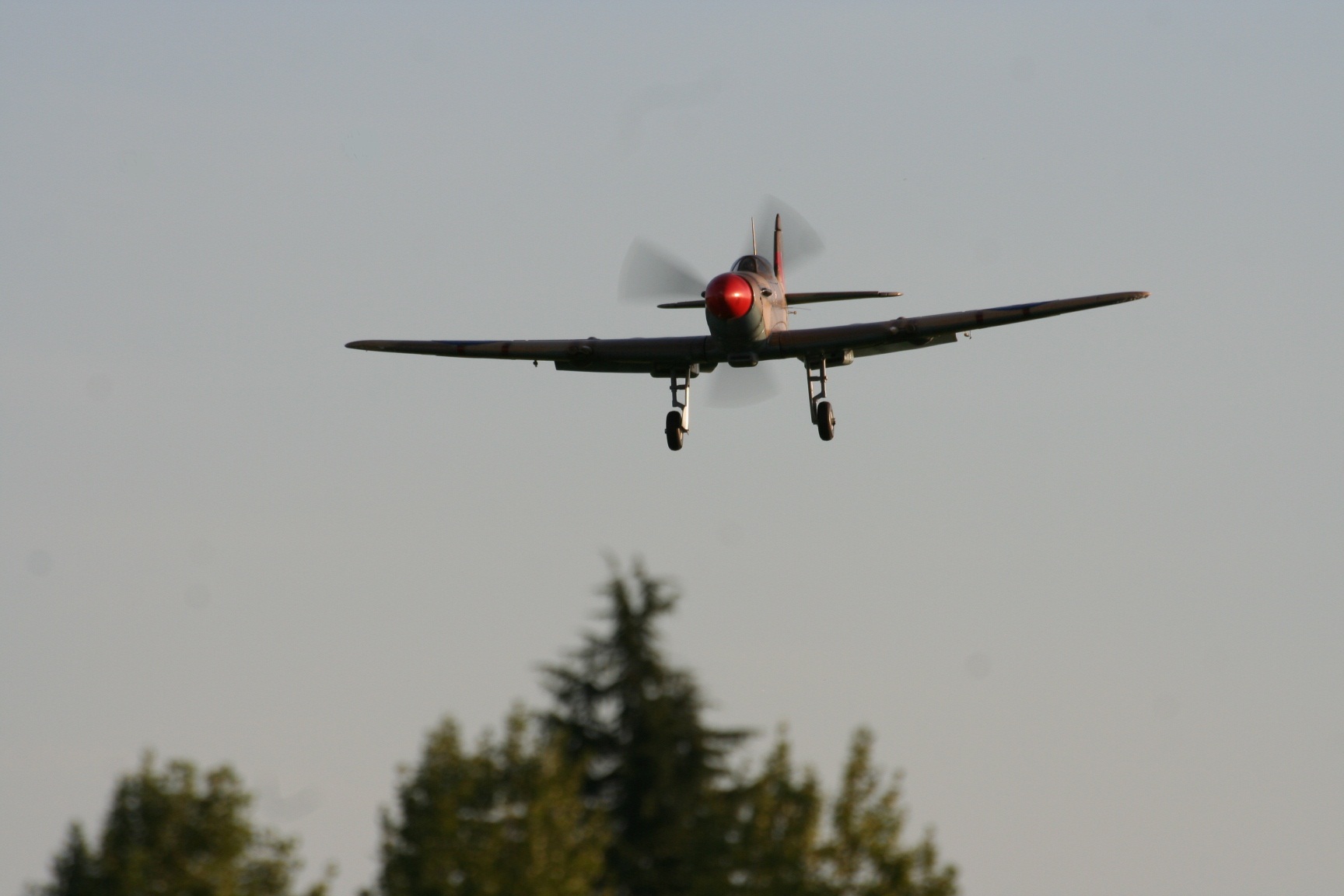 Spitfire FMS en vol 110830095421197378667106