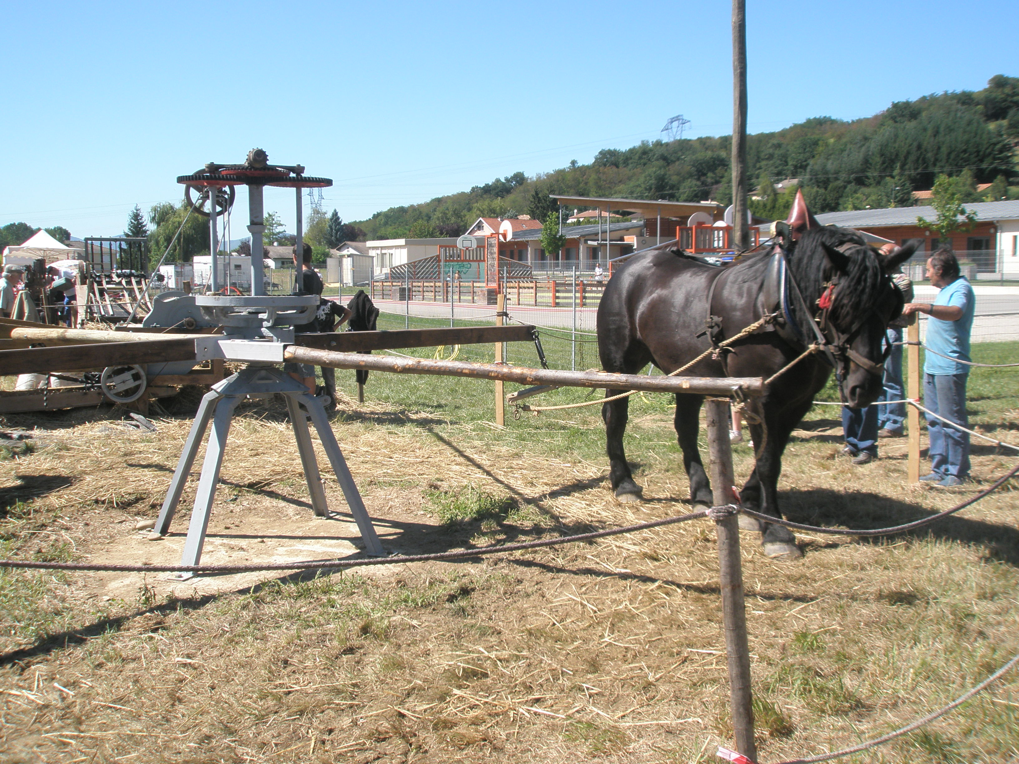 Concentration de tracteurs SABATIER le 28 Août 2011 à VERNIOZ (38) 110831052936514748670677