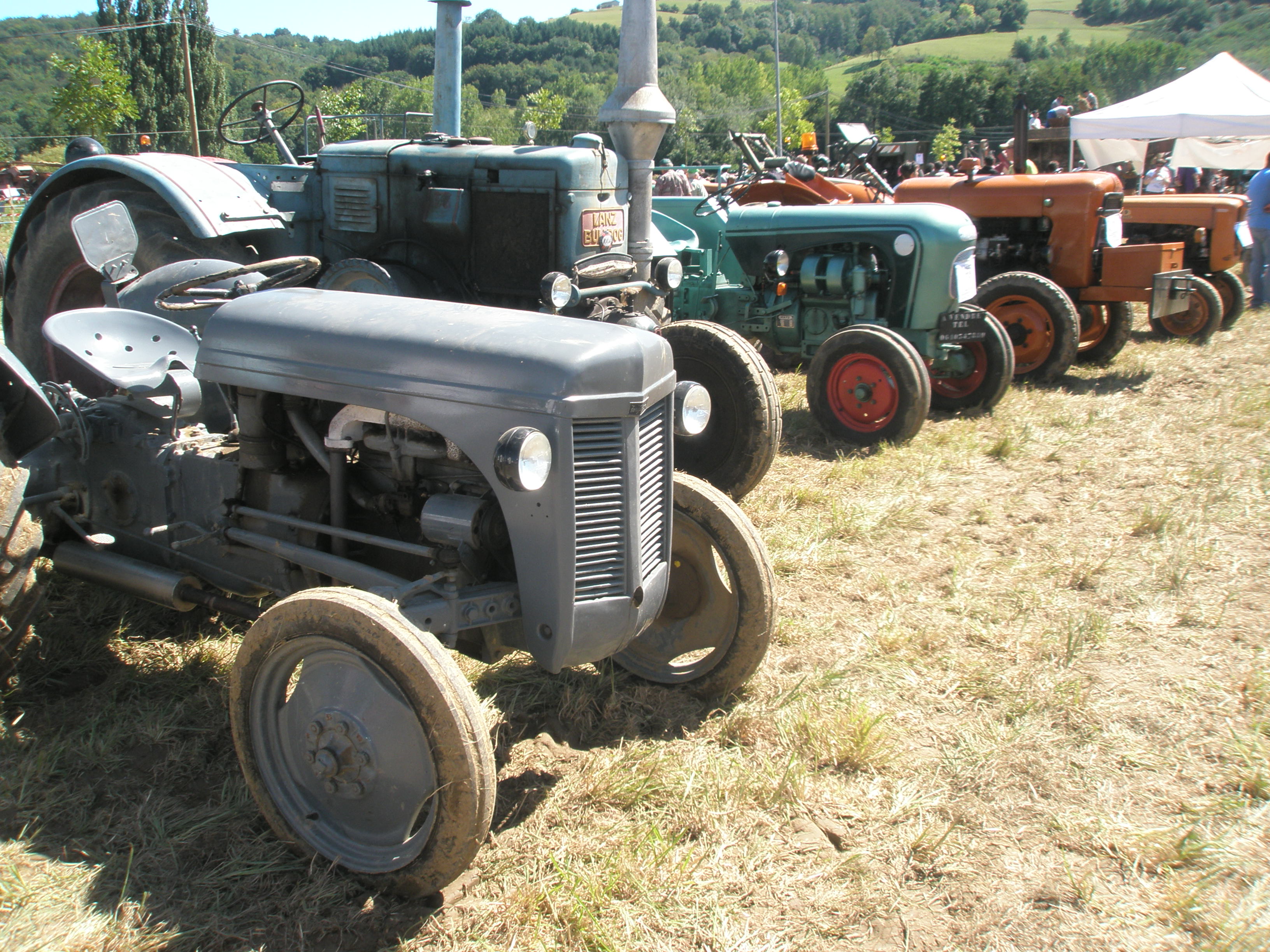 Concentration de tracteurs SABATIER le 28 Août 2011 à VERNIOZ (38) 110831053244514748670698